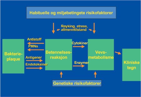 illustrasjon: Periodontitt – en systematisk behandlingstilnærmelse