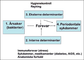 illustrasjon: De periodontale sykdommers epidemiologi og klassifikasjon