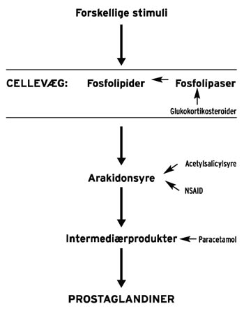 illustrasjon: Akutte smertetilstande i tandlægepraksis