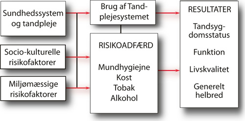 illustrasjon: Brug af tandplejesystemet og egenomsorg i Danmark