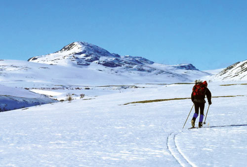 illustrasjon: Oppland Tannlegeforening