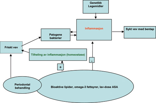 illustrasjon: Periodontal sykdom og bioaktive lipider