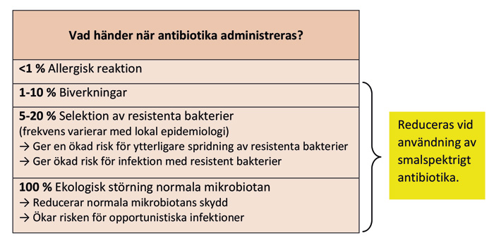 illustrasjon: Antibiotikaprofylax - förskrivning som kräver kunskap och eftertanke