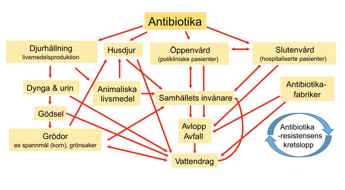 illustrasjon: Antibiotikaresistens - globalt, lokalt, idag och imorgon