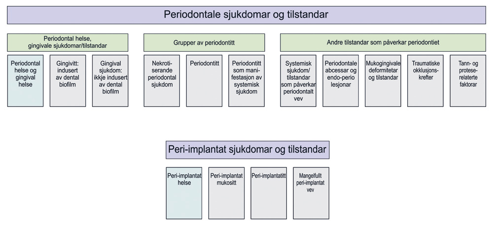 illustrasjon: Ny klassifikasjon av periodontal og peri-implantat sjukdom. Nøkkelendringar