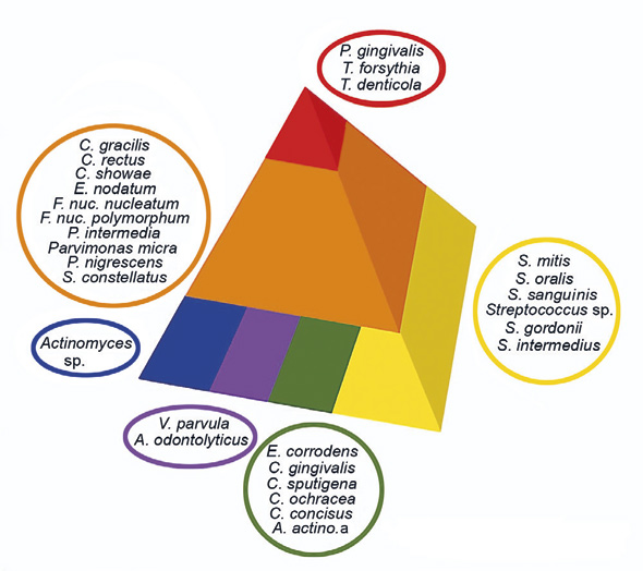 illustrasjon: Antibiotics in the treatment of periodontal and peri-implant infections