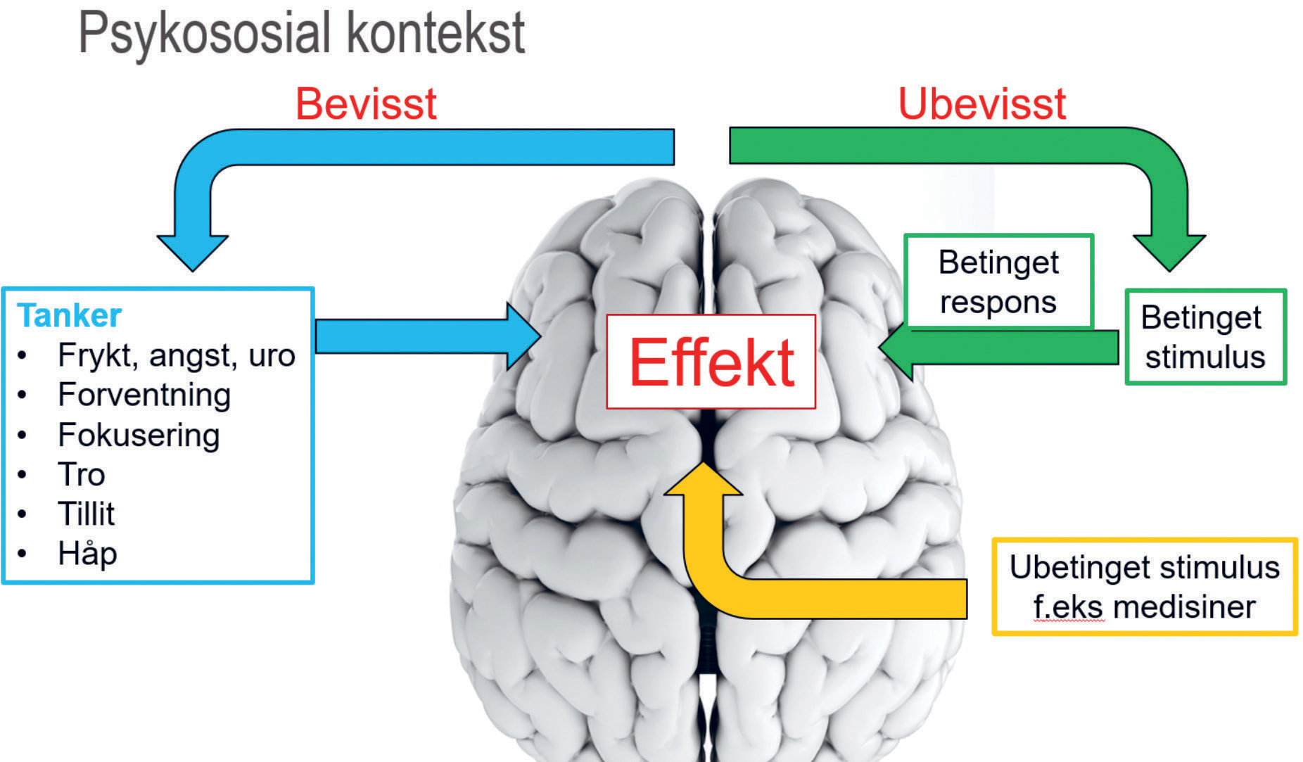 illustrasjon: Brekninger under tannbehandling – etiologi og behandling