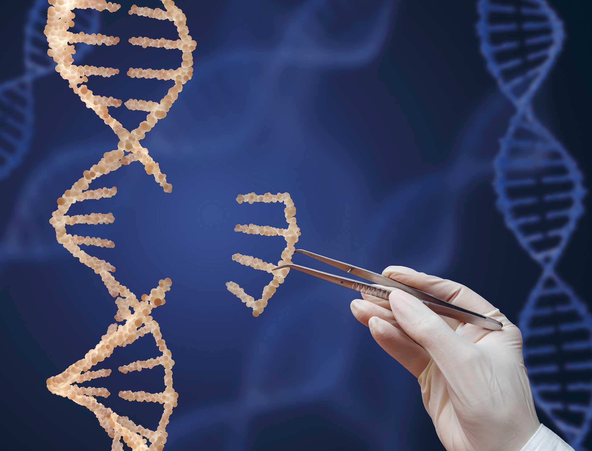 illustrasjon: CRISPR-systemet – å redigere gener