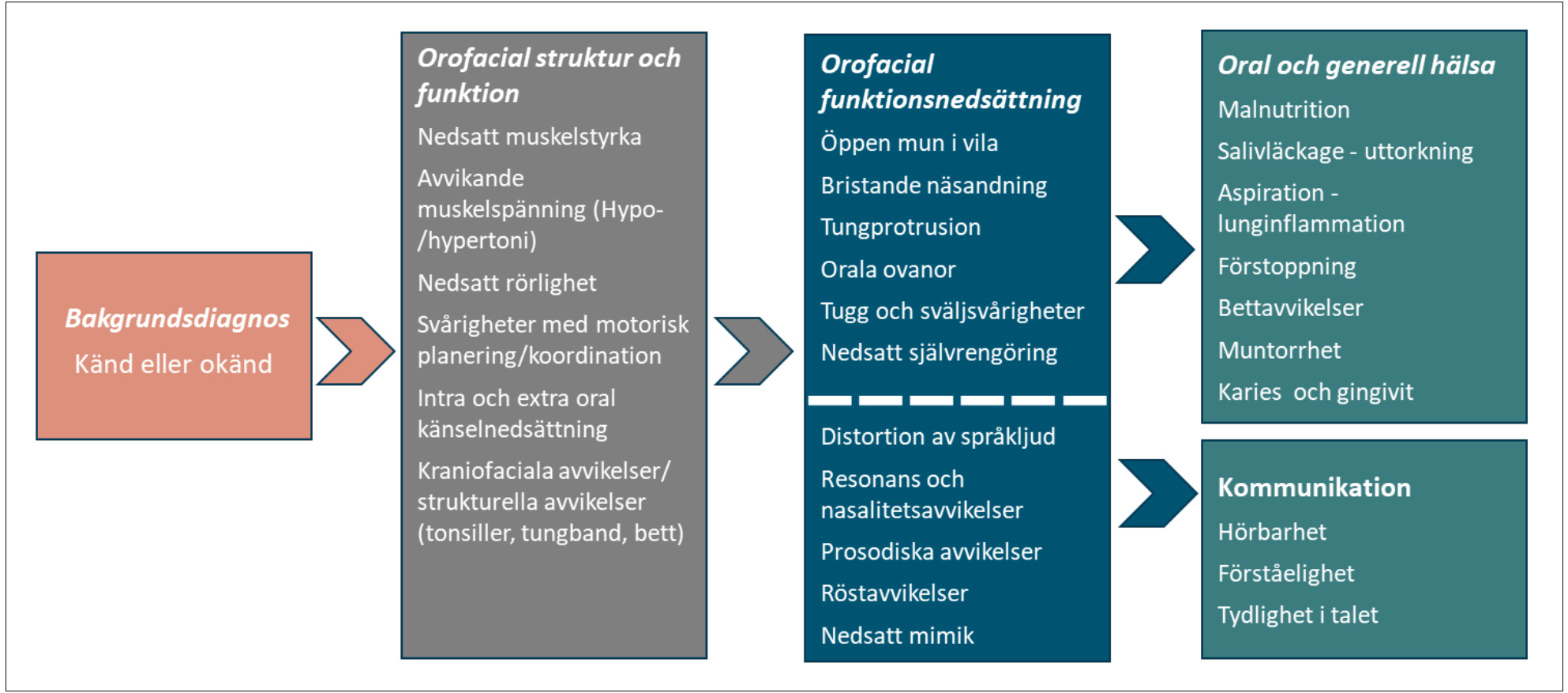 illustrasjon: 2025/08/Tv-rprofessionellt-omh-ndertagande-av-nedsatt-orofacial-funktion-vid-s-llsynta-h-lsotillst-nd