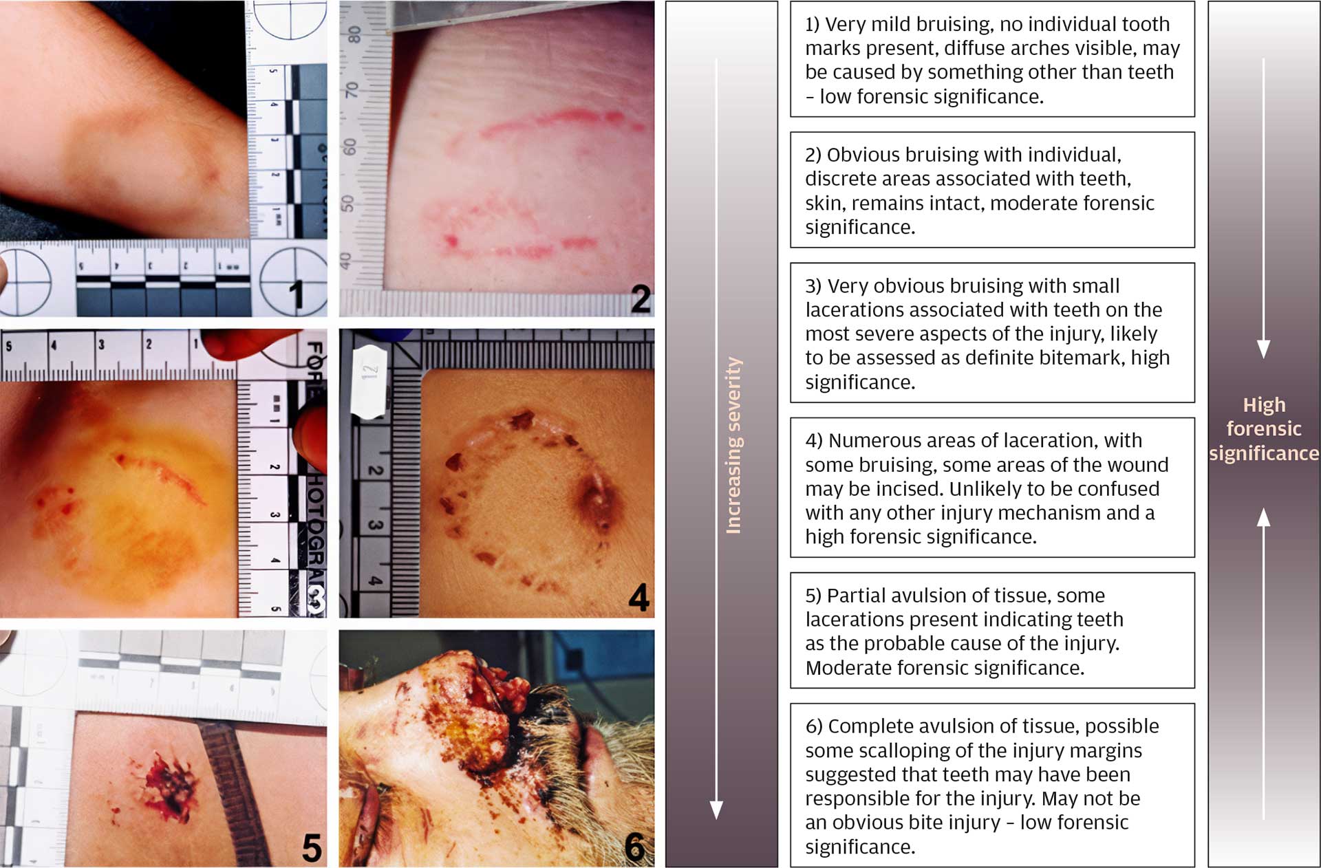 illustrasjon: 2026/01/Bidm-rker