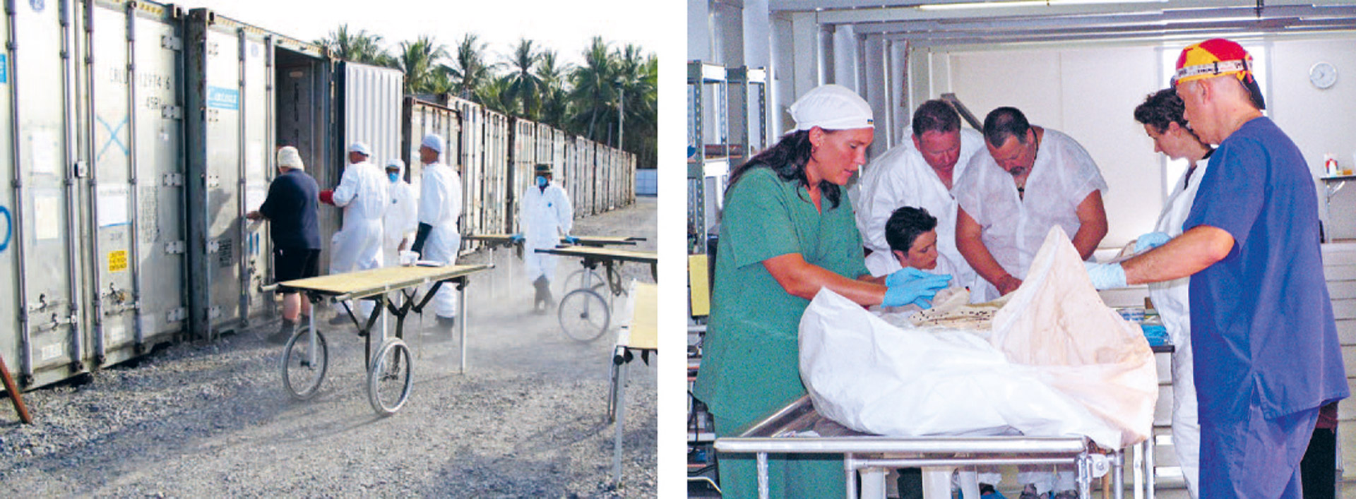 illustrasjon: 2026/01/Identifiering-av-offer-f-r-masskatastrofer