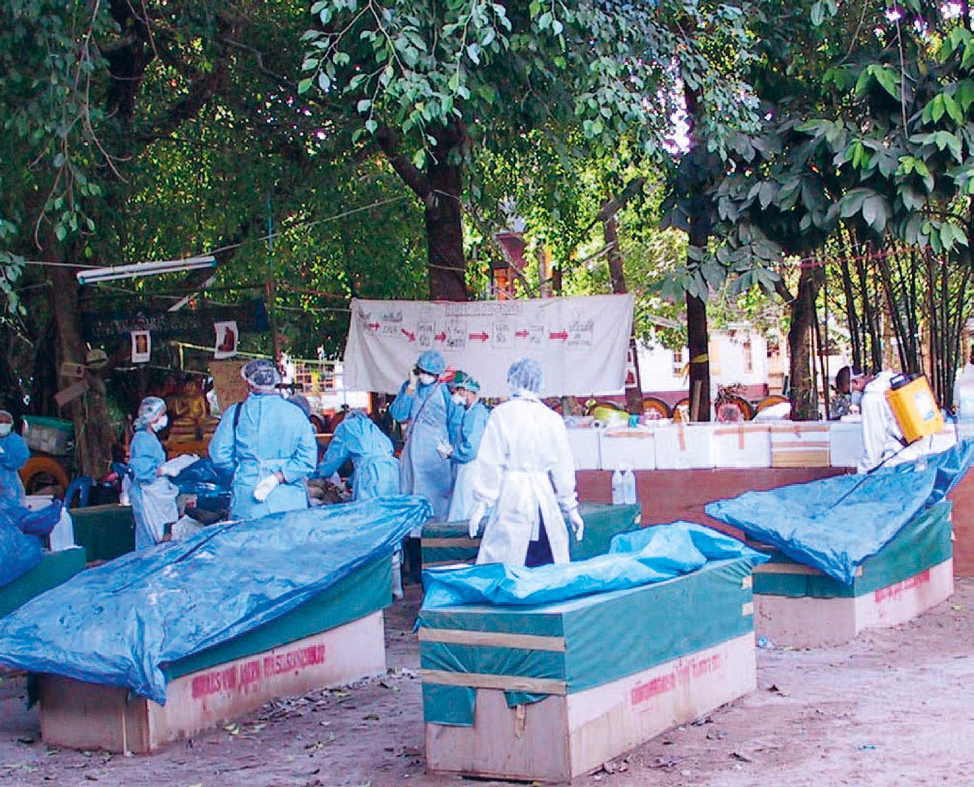 illustrasjon: 2026/01/Retsodontologi-En-introduktion