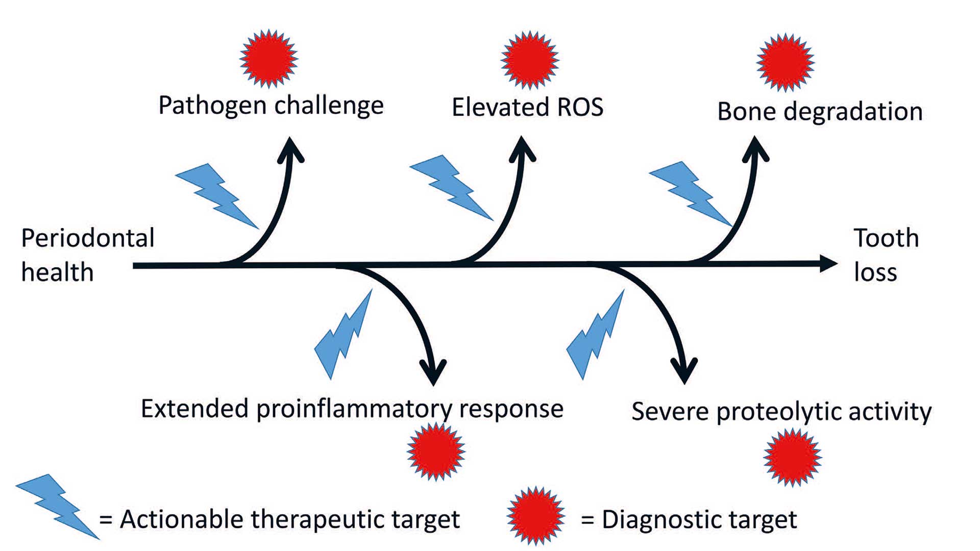 illustrasjon: New perspectives in the diagnosis and treatment of periodontitis