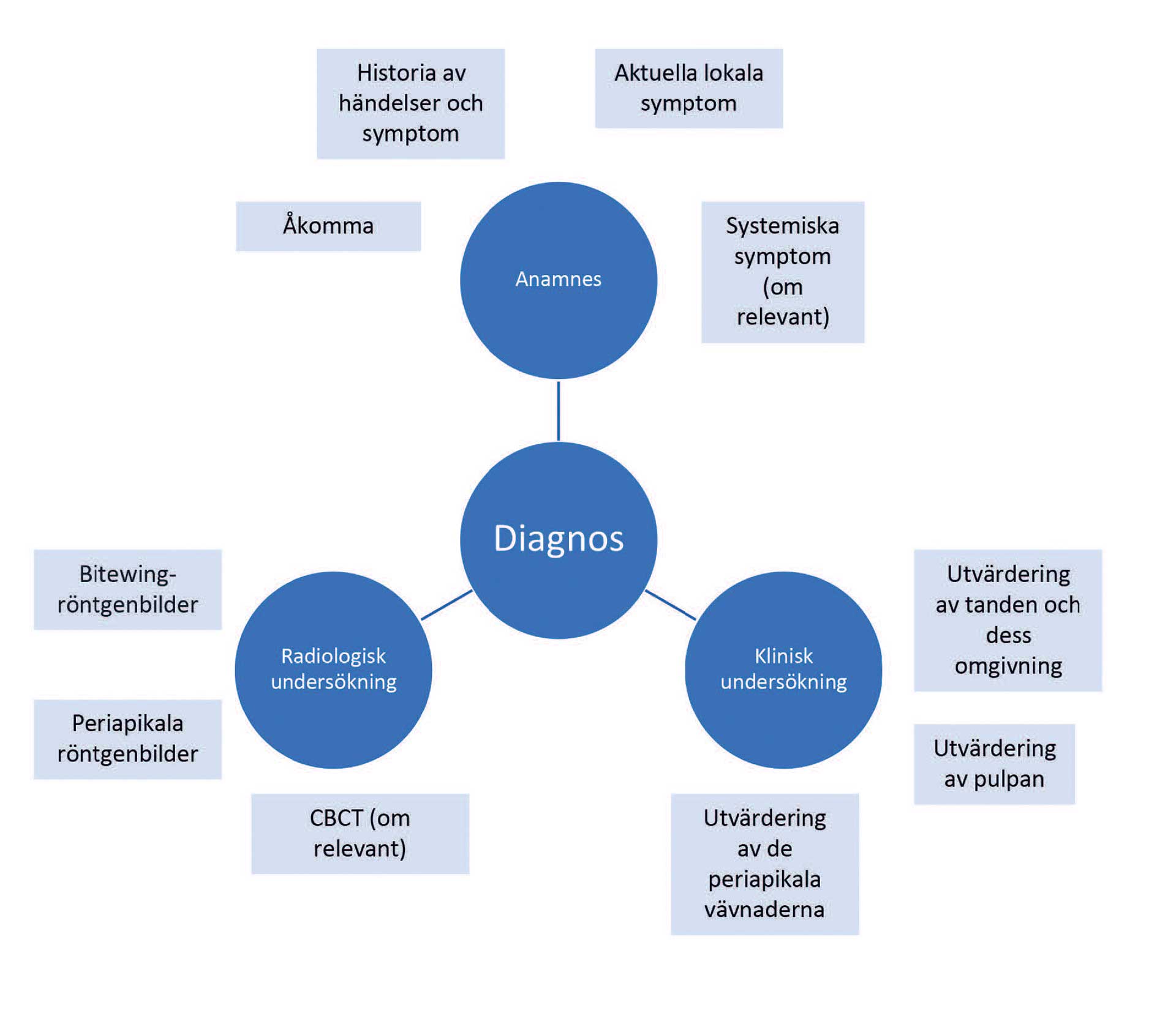 illustrasjon: Endodontisk diagnostik