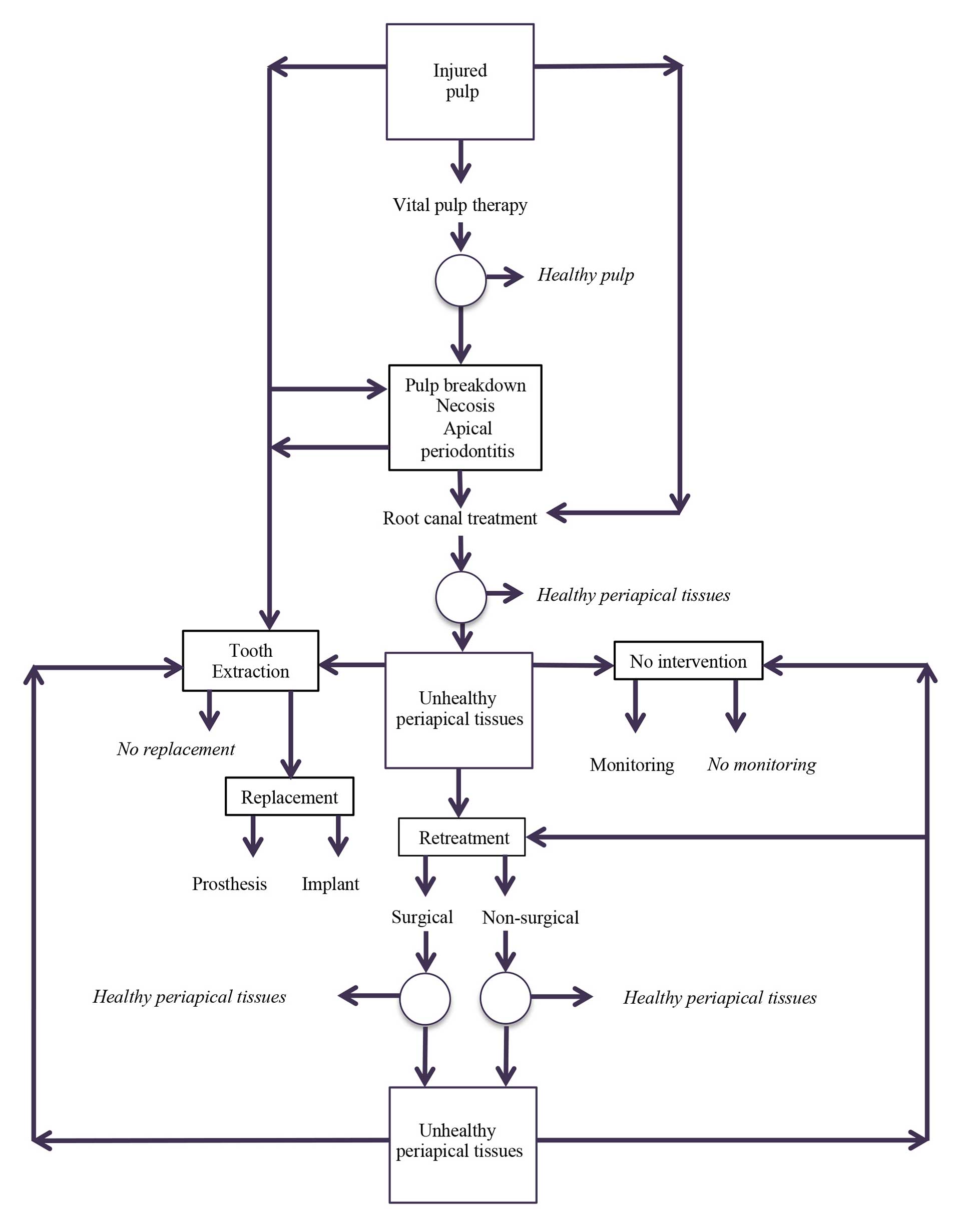 illustrasjon: Uncertainties and decision making in endodontics